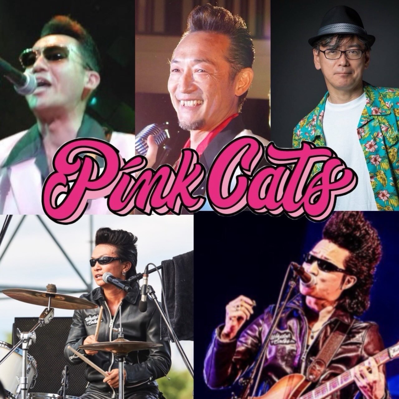 PINK CATS
